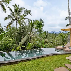 anandari-ubud-villa.ubudhotelsnow.com/